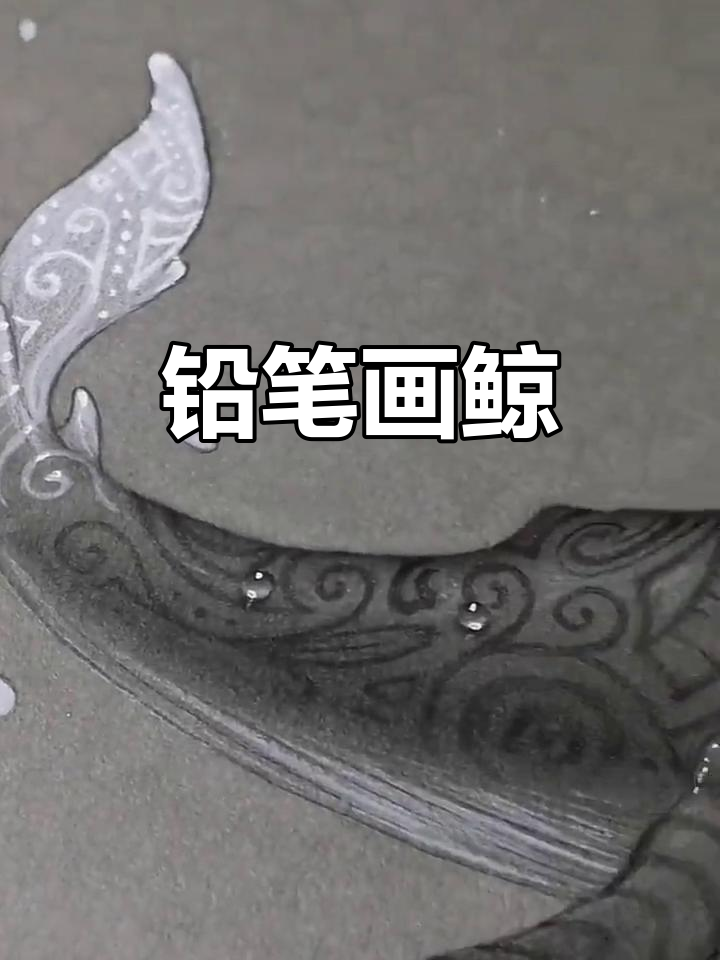 铅笔素描鲸鱼，细节满满的艺术创作