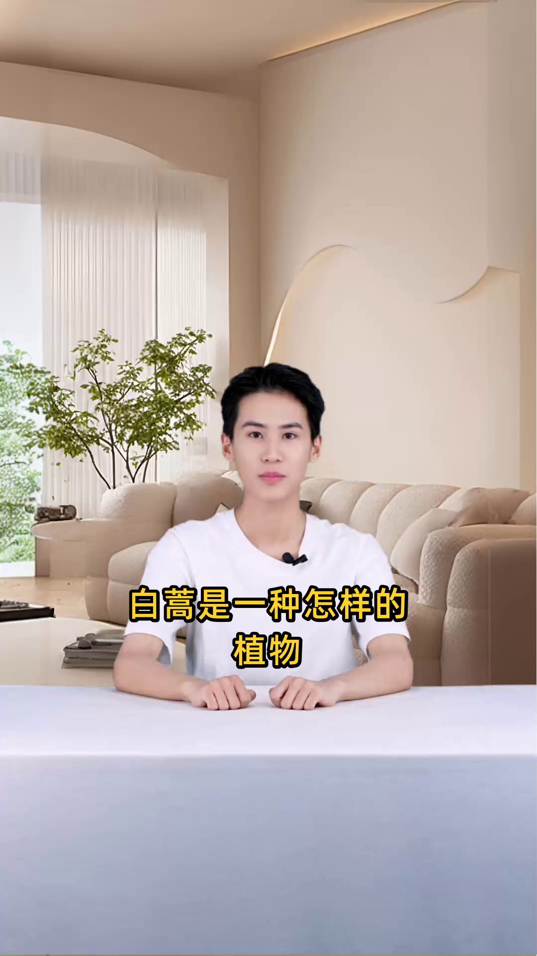 关于白蒿的详细信息、功效作用以及食用方法是什么?