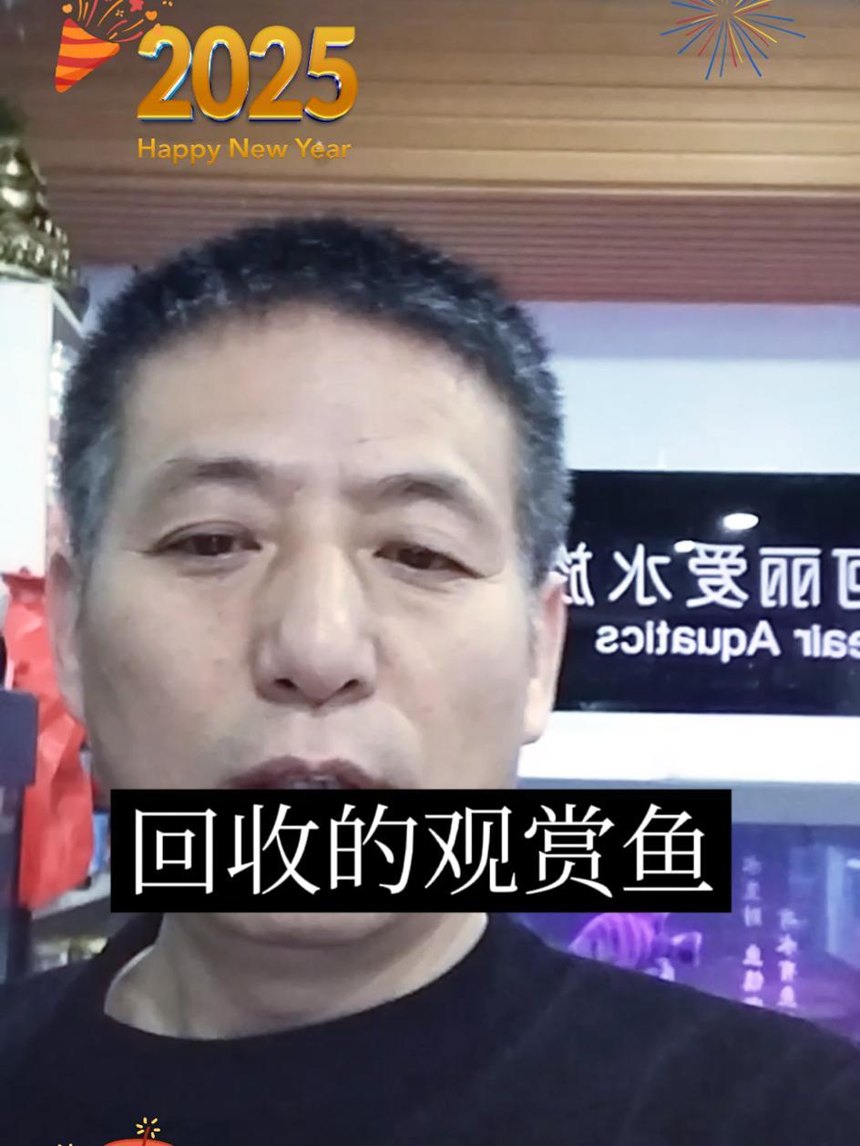 实体店回收观赏鱼能混养吗?看看便知道!水族爱好者 祝大家年年有鱼 杨凌观赏鱼回收 二手鱼缸