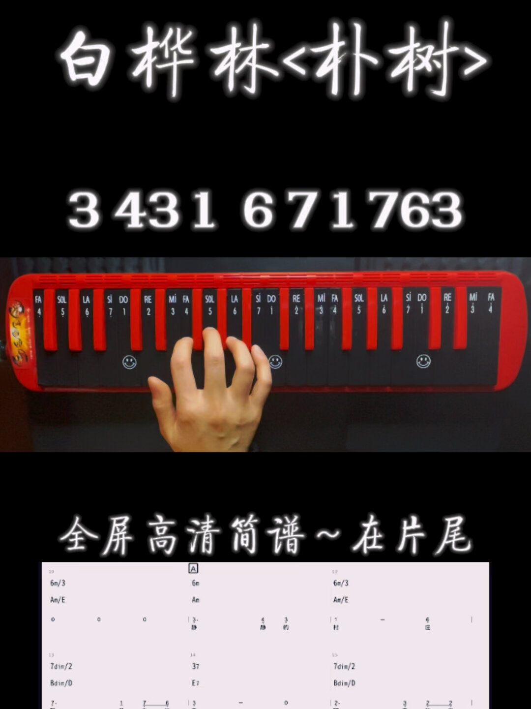 朴树《白桦林》简谱口风琴