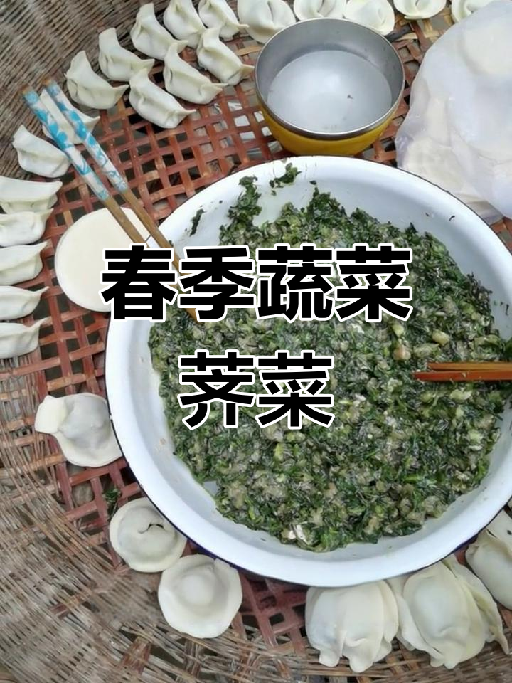 春天的野菜,荠菜的营养与功效