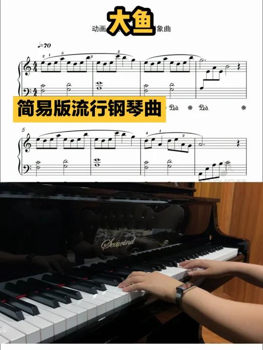 简易版流行钢琴曲|《大鱼》