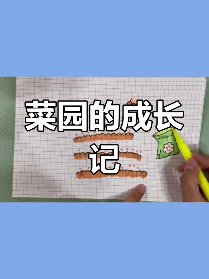 从种子到餐桌,见证蔬菜成长的幸福瞬间!