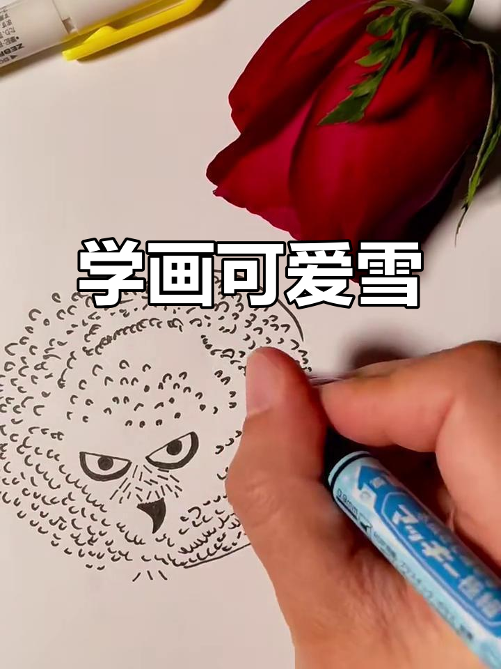 雪鸮简笔画教程,轻松学会!