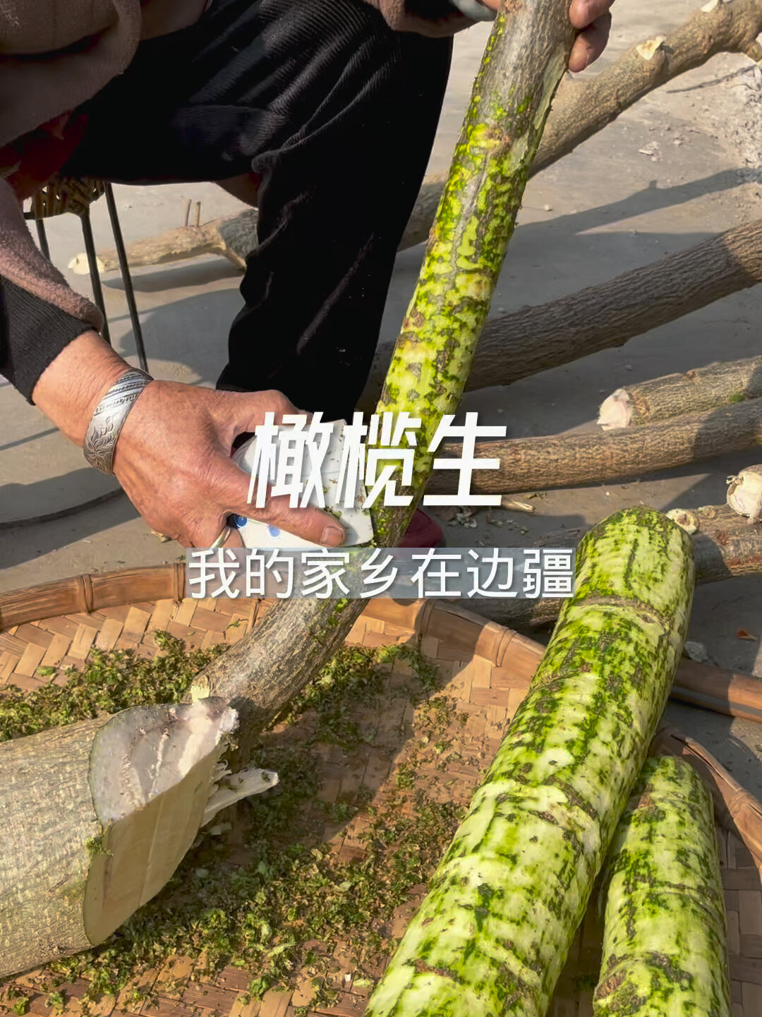 这是云南的一款用树皮做的菜