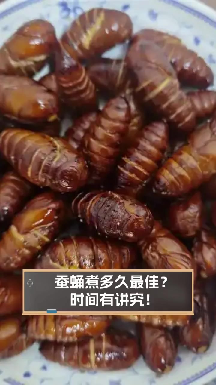 蚕蛹煮多久最佳?时间有讲究!