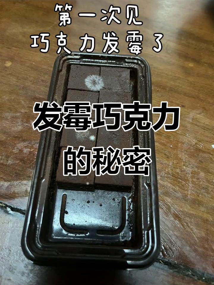 巧克力发霉了,竟然有科研价值?