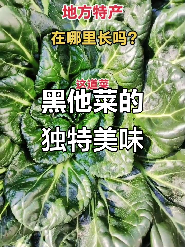 冬季黑他菜，口感超越时令蔬菜，南通特色美食大揭秘