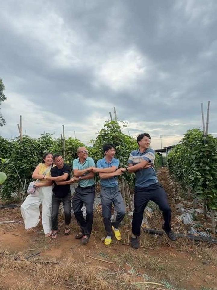 这是什么品种的天鹅呀，他们看起来好快乐的样子！