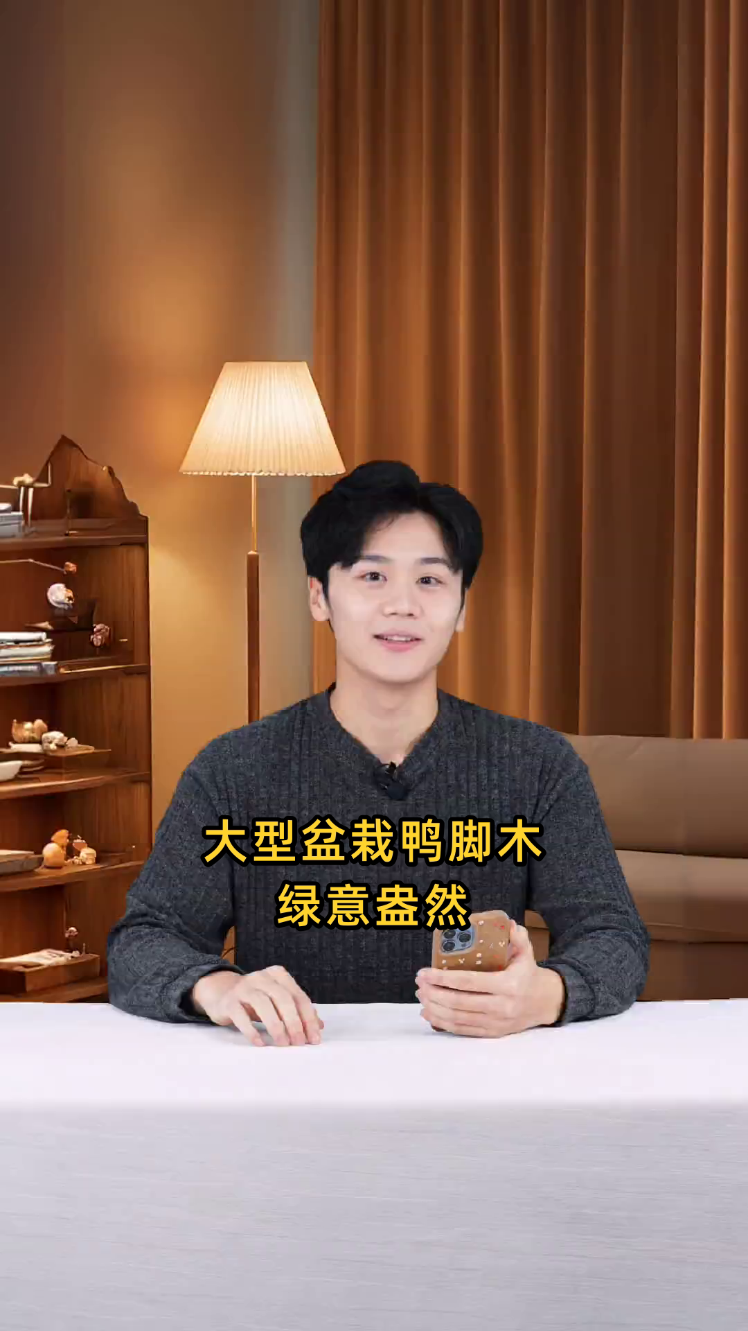 大型盆栽鸭脚木，绿意盎然，造型别致，彰显自然韵味