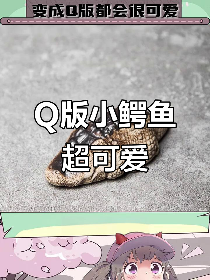 小鳄鱼也能当茶宠,Q版万物太有趣了