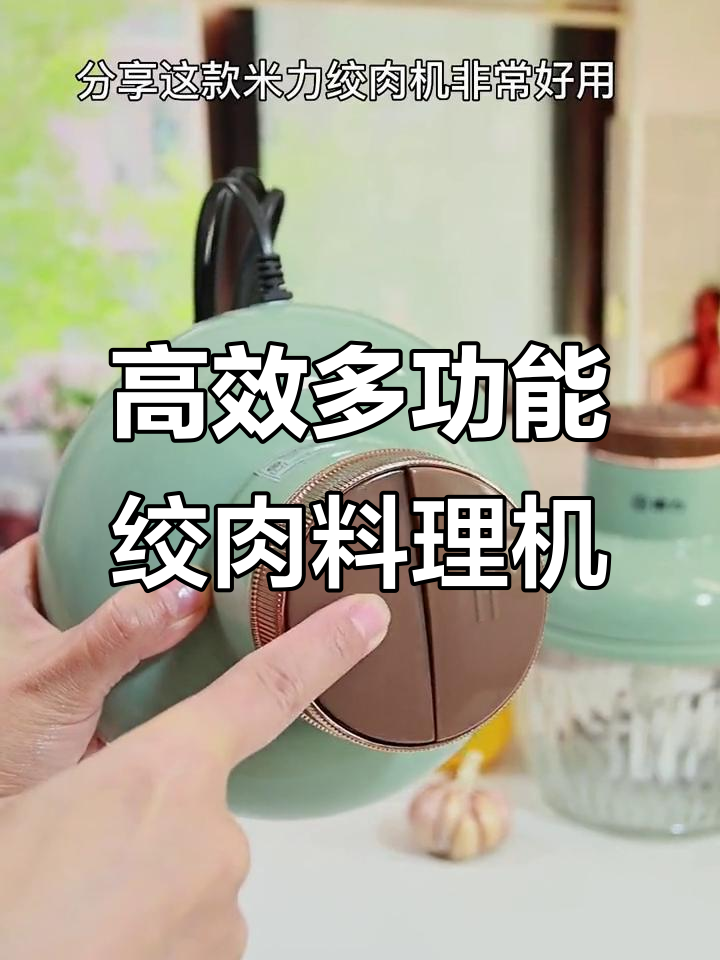 家用电动绞肉机,双档调速轻松搞定各种食材