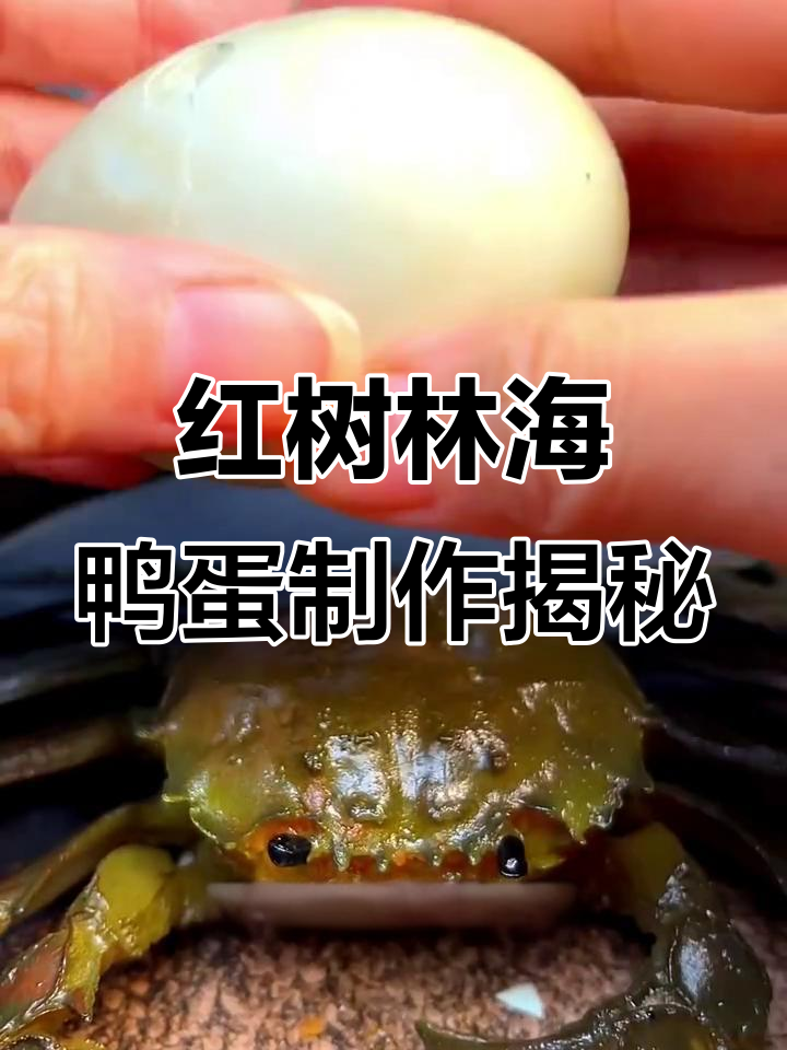 烤鸭蛋与红泥腌制,果木炭烤制揭秘
