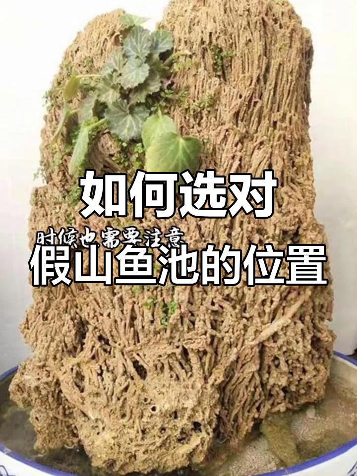 假山鱼池建造的最佳位置,风水与美观的完美结合