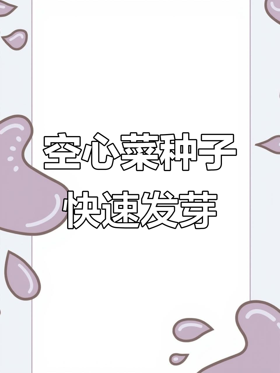 空心菜种子催芽技巧,三天就能发芽!