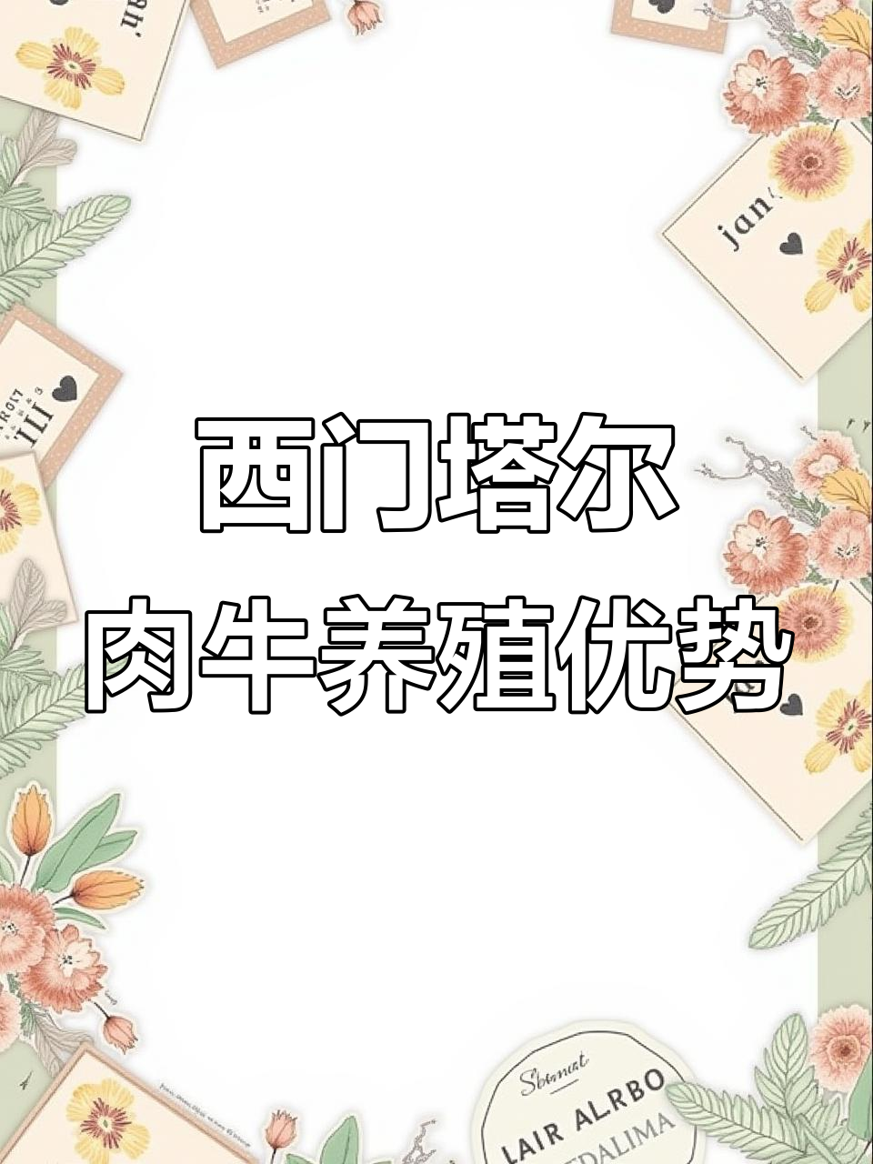 西门塔尔肉牛养殖优势