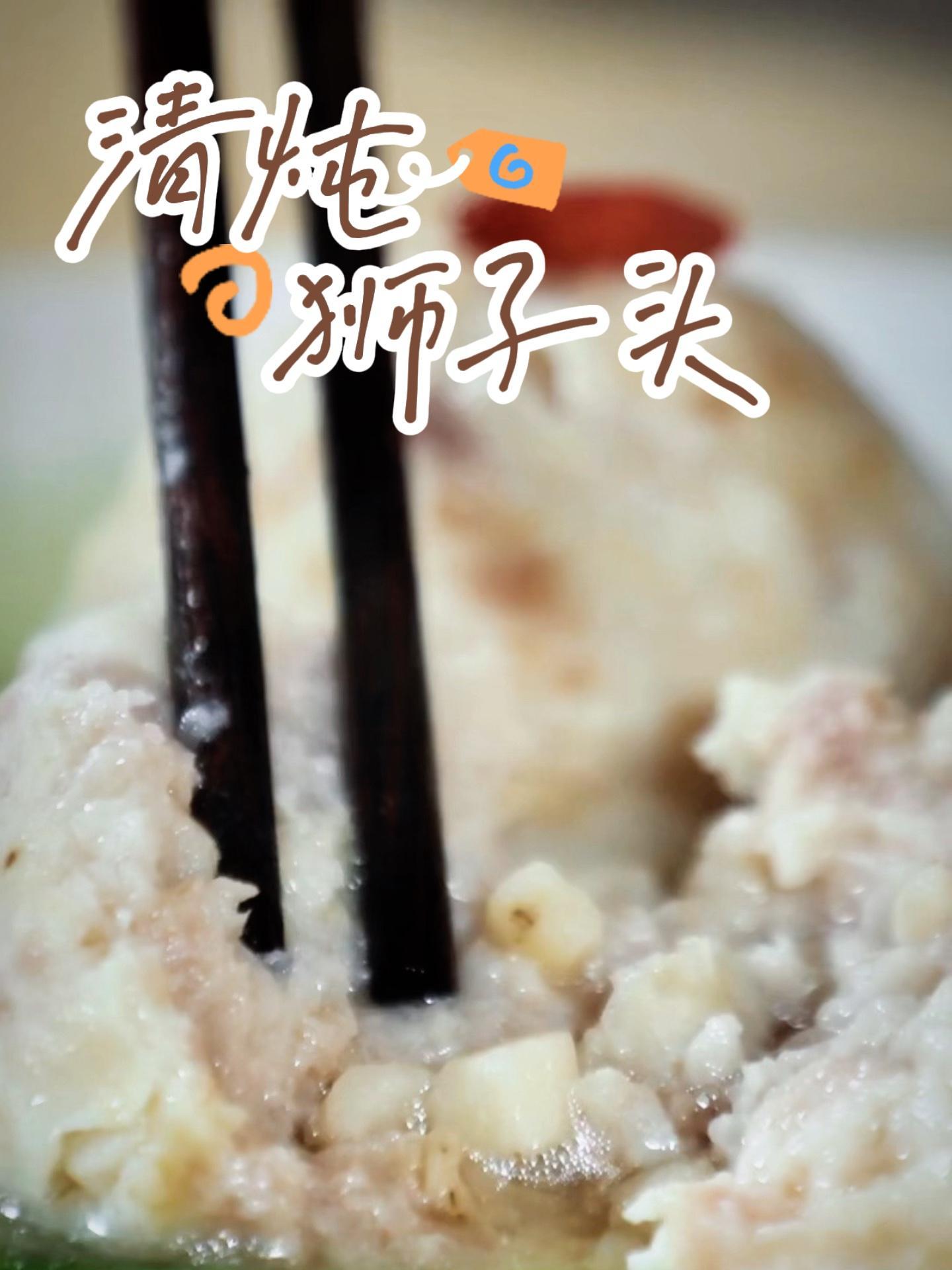 扬州清炖狮子头 皮厨大叔美食 皮厨大叔好物推荐