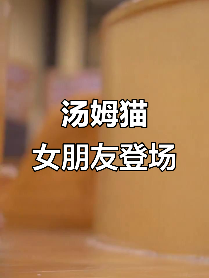 汤姆猫的女朋友来了,彩礼准备好了吗?
