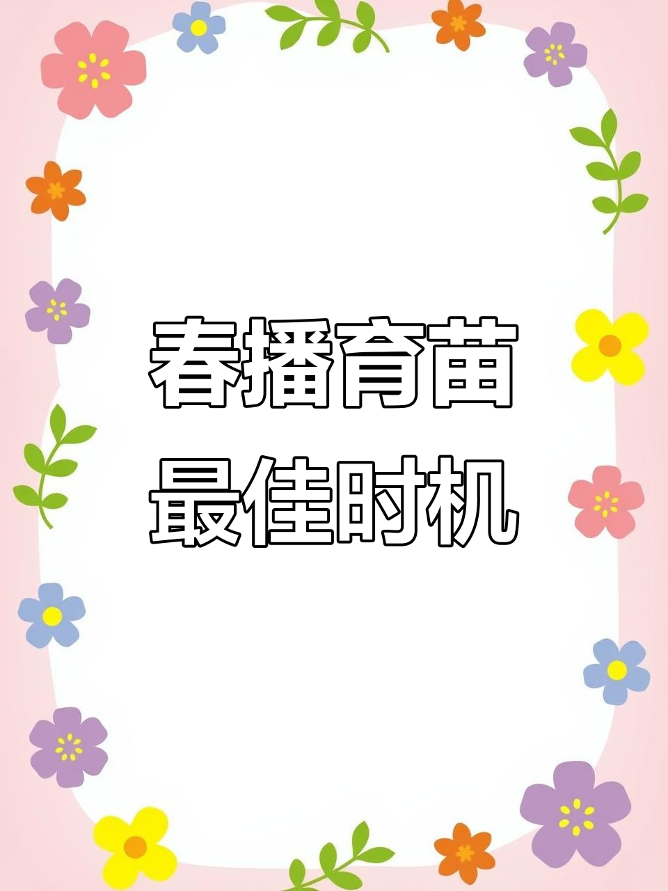 2025年春季蔬菜育苗时间表,提前规划才能种得好