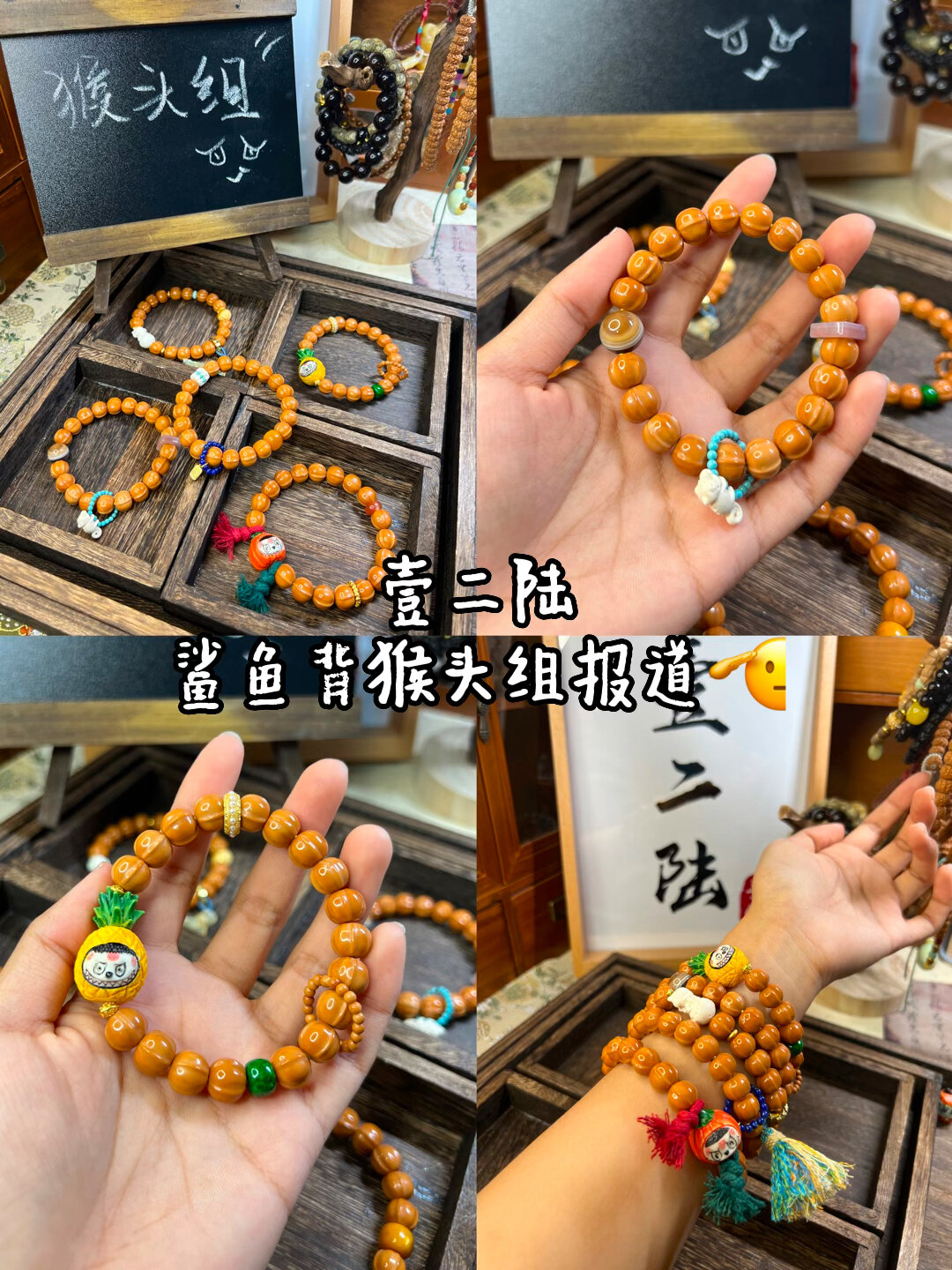 鲨鱼背猴头合集!