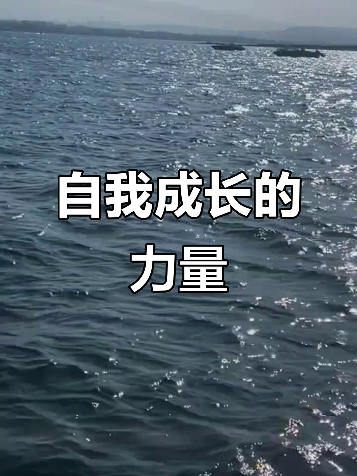 努力是为了自己,挫折是成长的垫脚石,未来掌握在自己手中