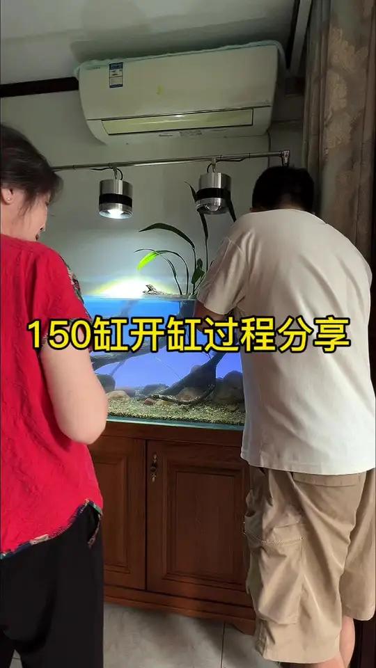 鱼缸造景 沉木造景 南美缸 溪流缸造景 溪流缸开缸教程