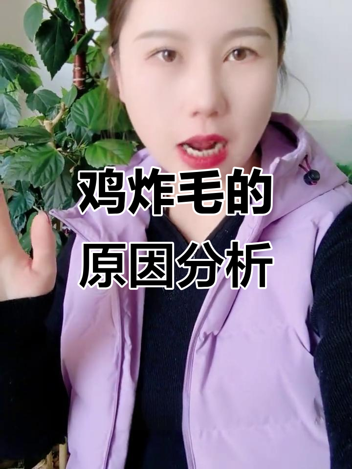 鸡炸毛的两大原因,看看你遇到过吗?