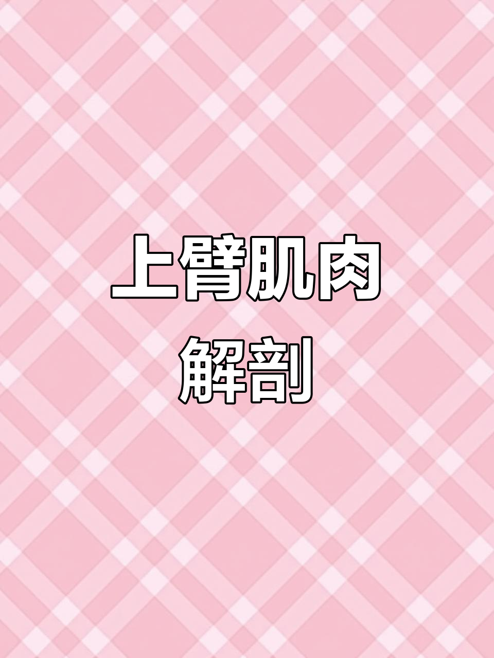 详细了解上臂肌肉分布与结构