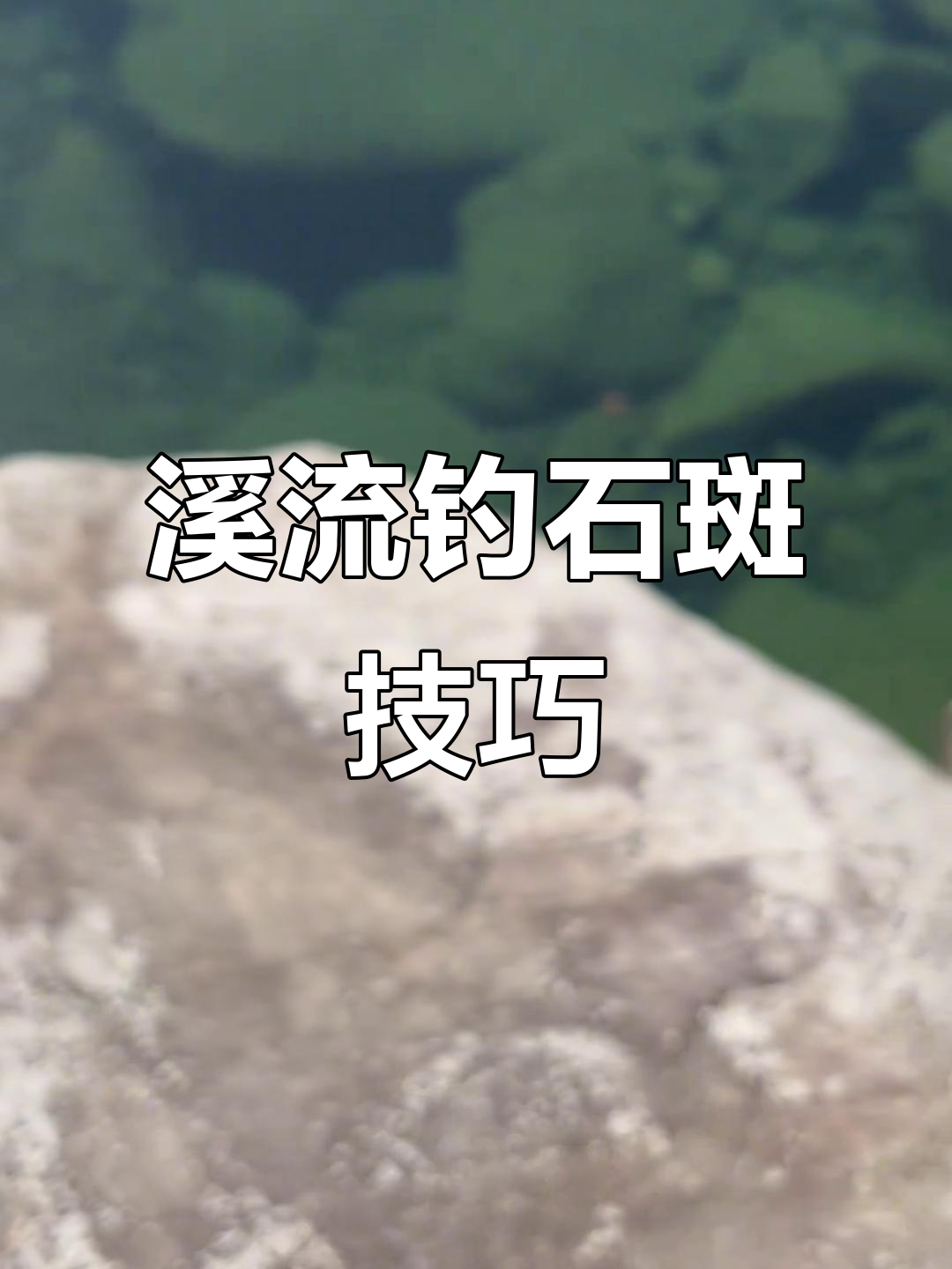 溪流钓石斑鱼技巧:打窝饵料与位置选择