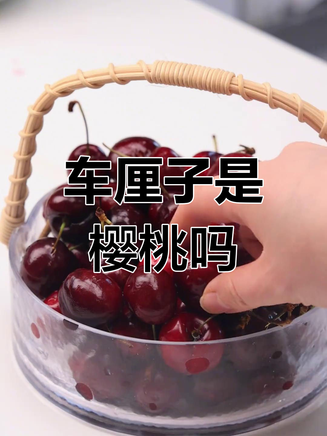 车厘子和樱桃到底有啥区别?看完你就懂了
