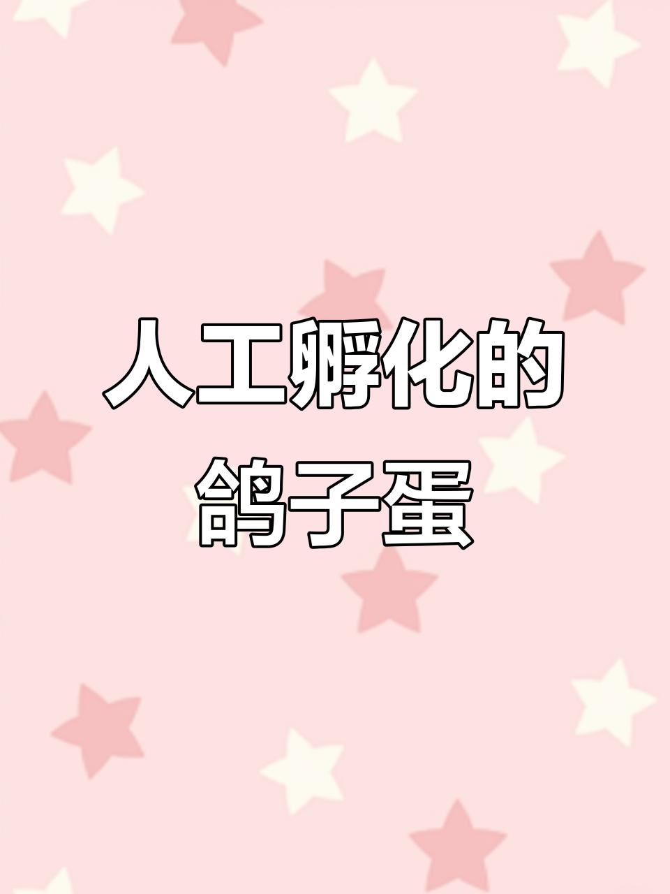 鸽子蛋孵化全过程,明天才能出壳!