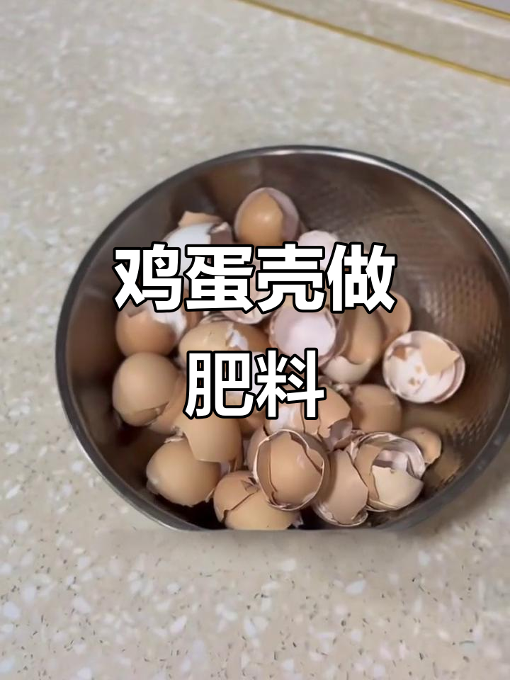 鸡蛋壳变肥料,钙磷丰富助力植物生长