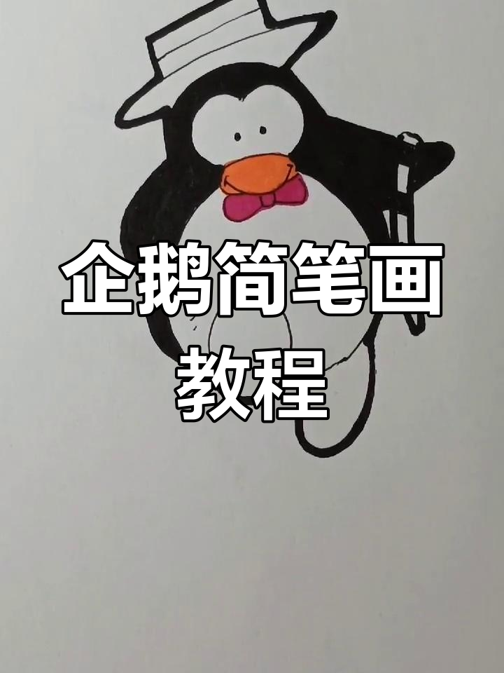 南极企鹅的优雅舞姿