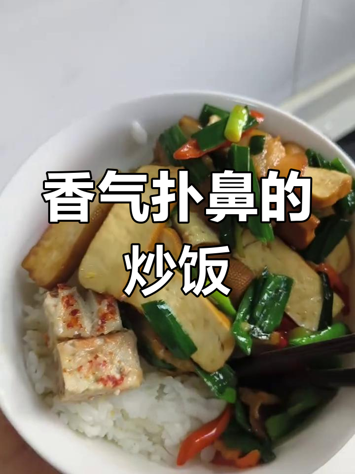 咸肉香干炒饭,简单美味,配什么都多余!