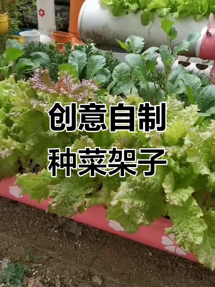 自制卡通动物种菜架,打造个性化小菜园