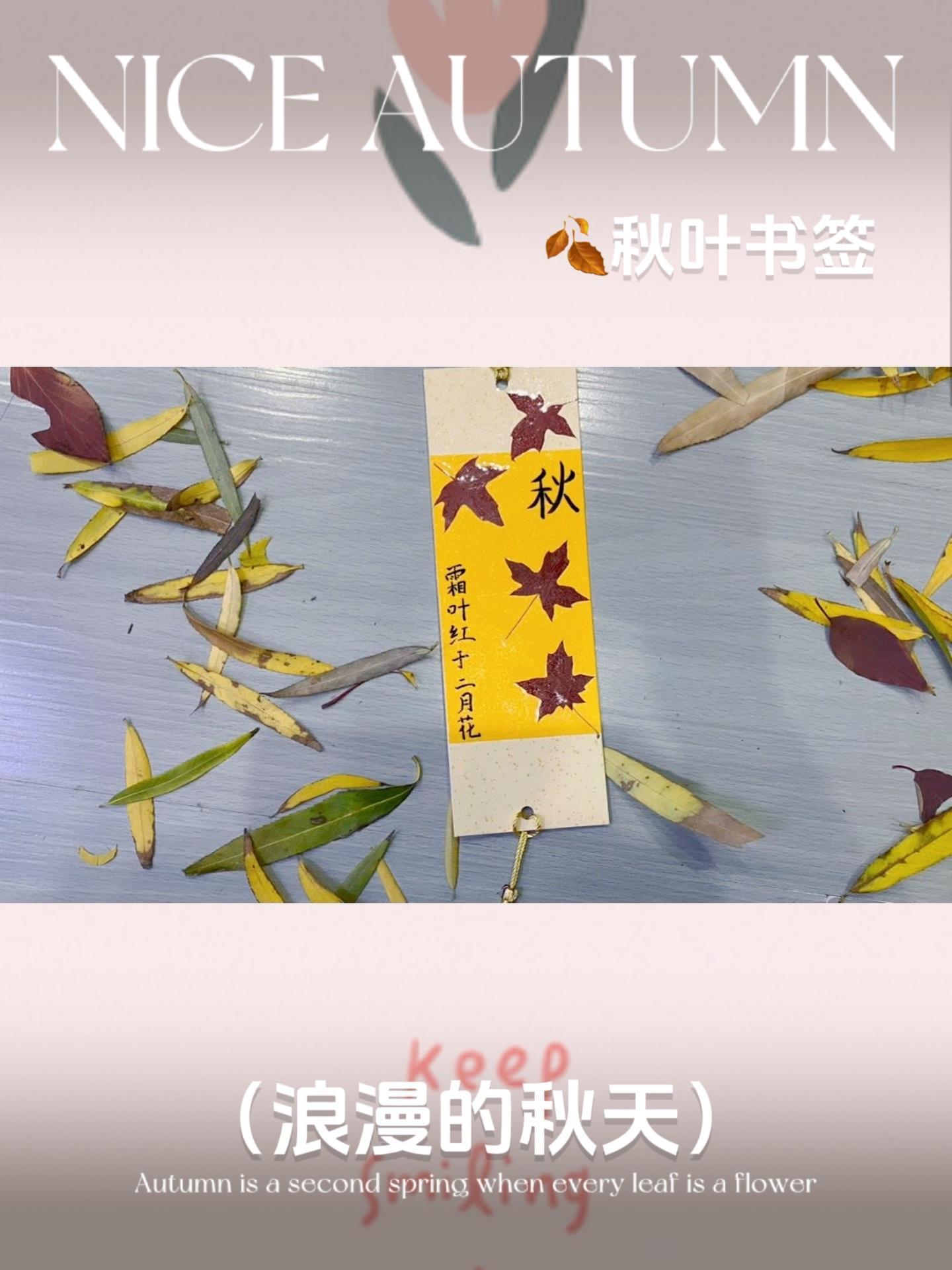 捡几片秋天的枫叶,制作秋天书签 秋天的落叶,留住它最美的时刻,秋叶书签 分享一份秋天给你 
