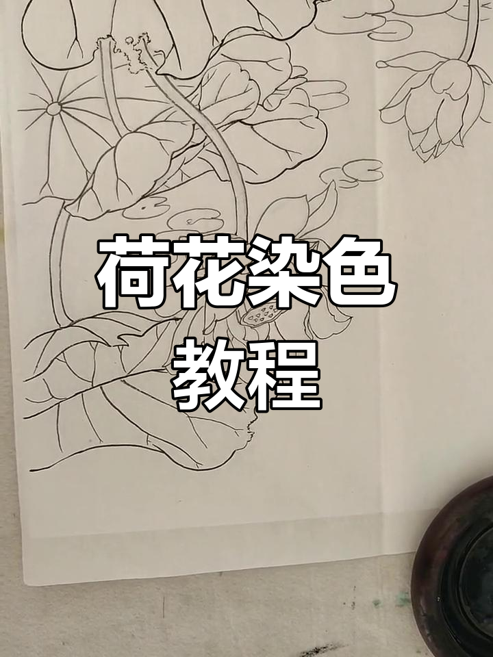 荷塘小趣:荷花工笔画分染技巧