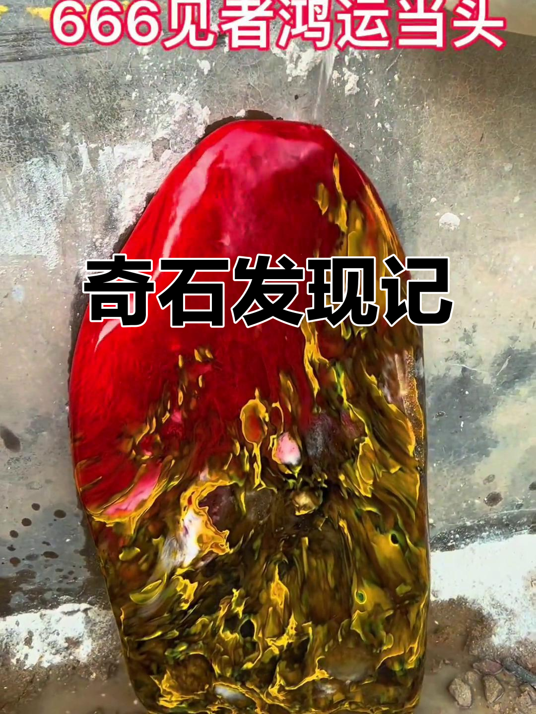 老人放羊三十年,捡到奇特石头,疑似鸡血石