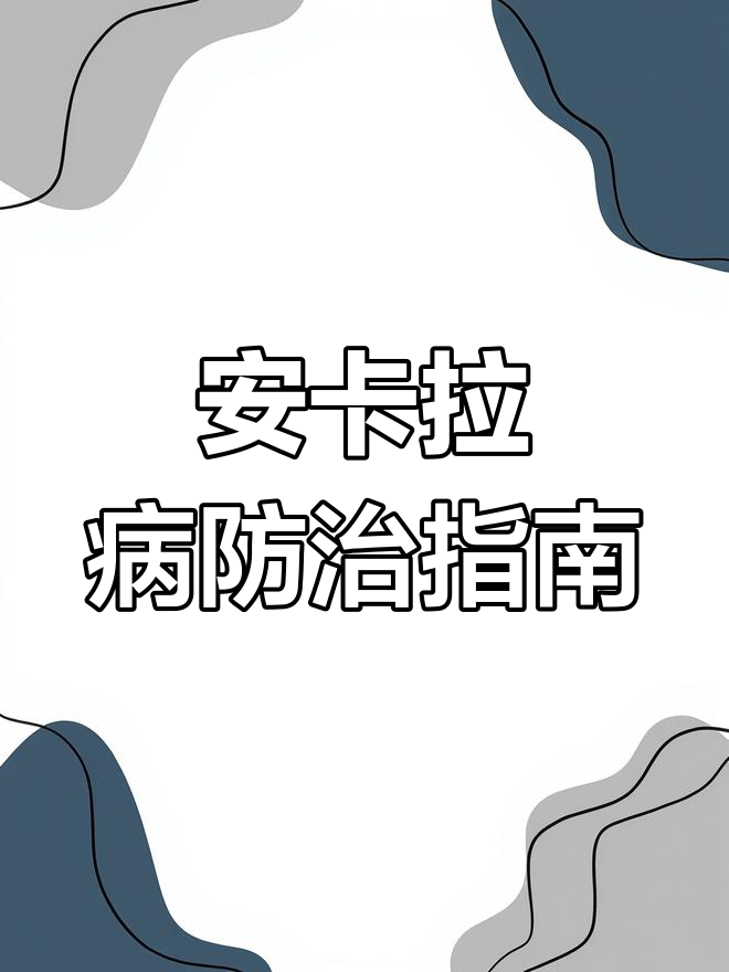 鸡安卡拉病三大症状,及时治疗与预防措施