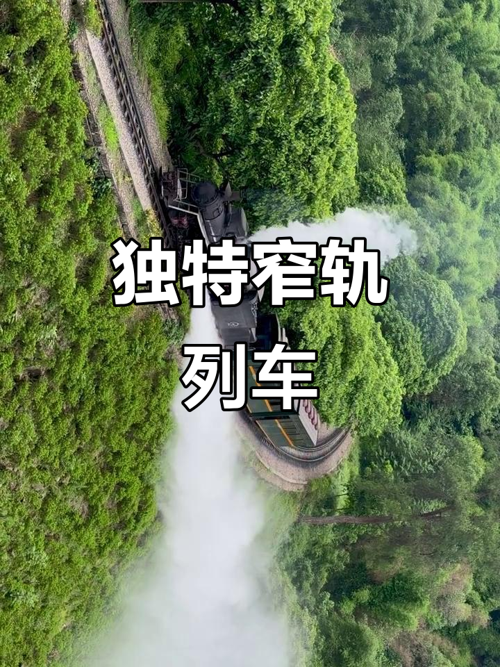 1958年嘉阳小火车,窄轨蒸汽穿越隧道弯道