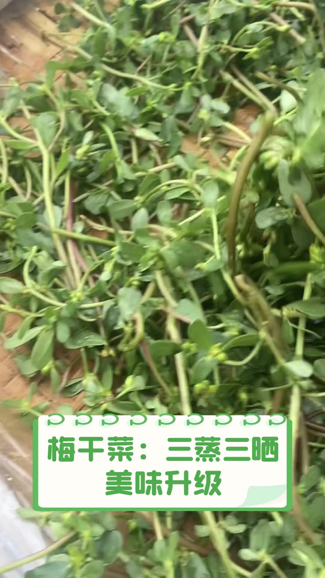 梅干菜:三蒸三晒,美味升级