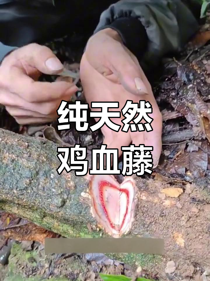 野生鸡血藤,自然晒干,无硫纯净,500克