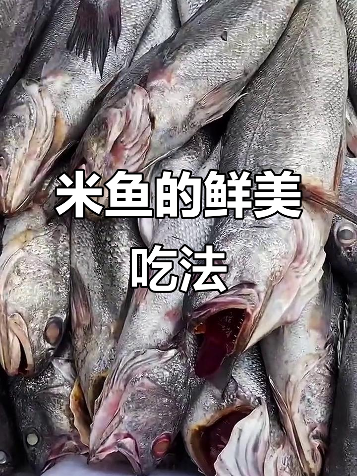 新鲜米鱼做法多样,简单又美味