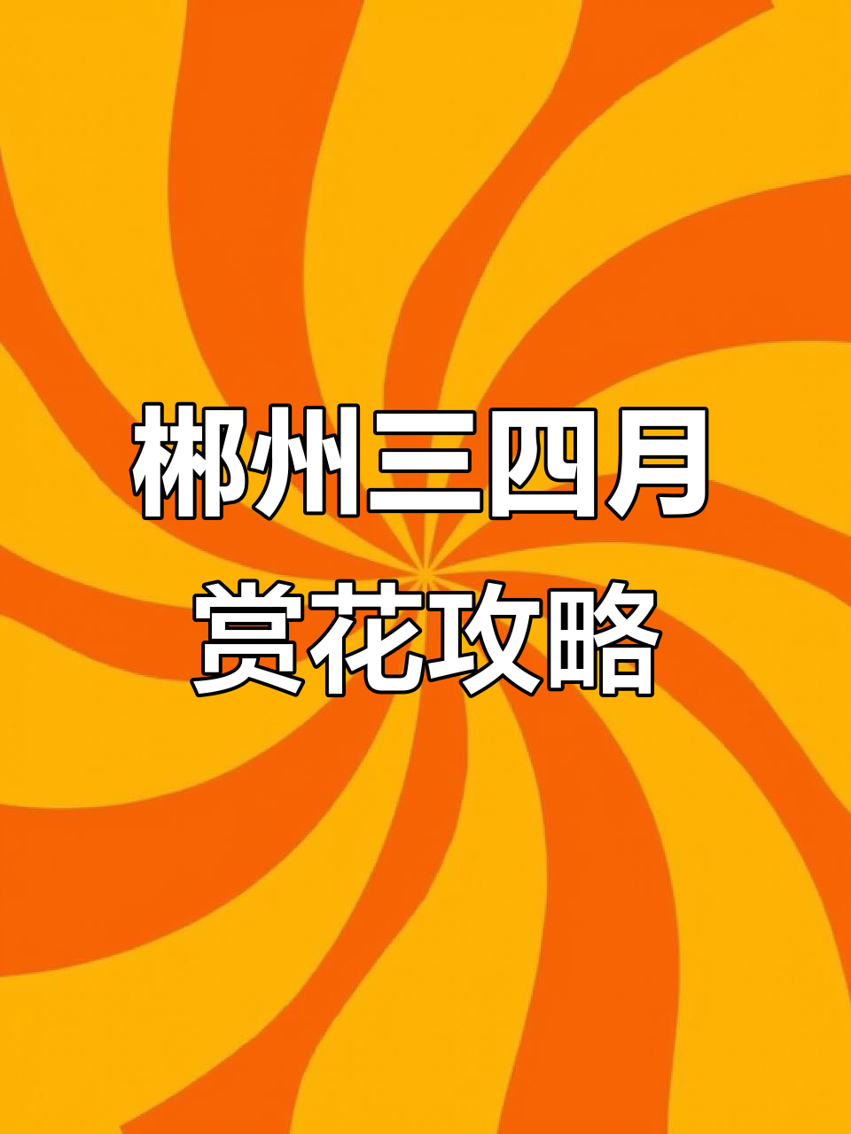 三四月郴州赏花全攻略,茶园樱花与油菜花的完美之旅