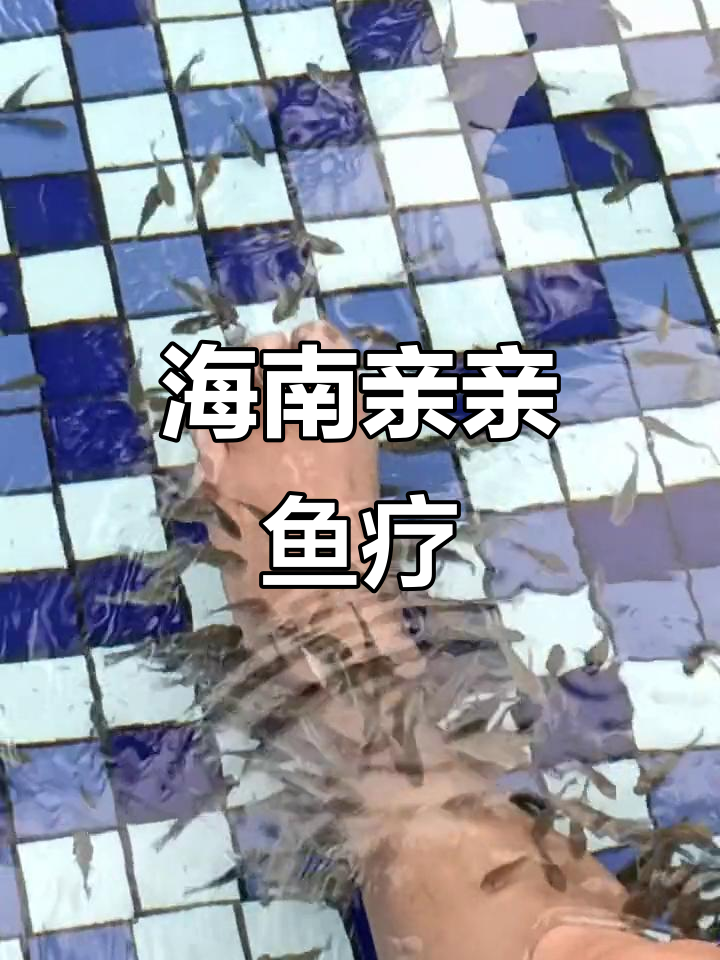 海南泳池亲亲鱼疗法,体验神奇小鱼亲吻