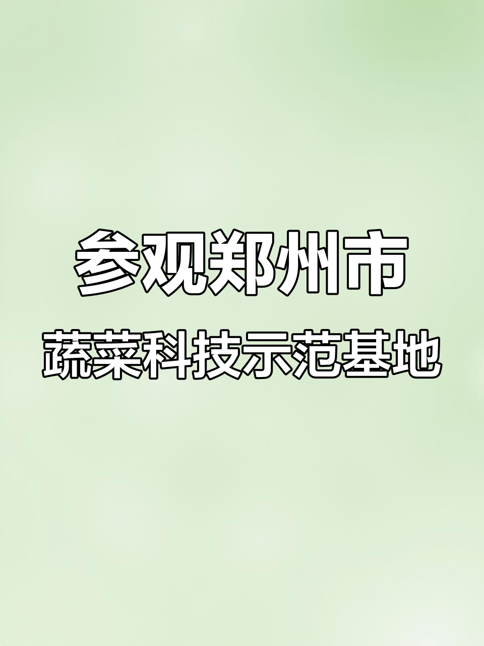 探访郑州农科院蔬菜基地,智能温室助力高效农业
