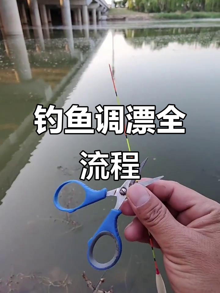野钓鲫鱼调漂技巧,如何精准找底并调整浮漂深度