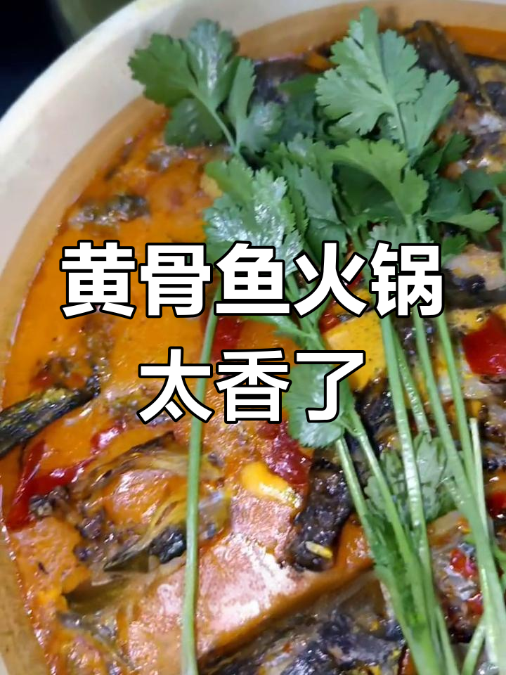 纯野生黄骨鱼火锅,香气扑鼻让人无法抗拒