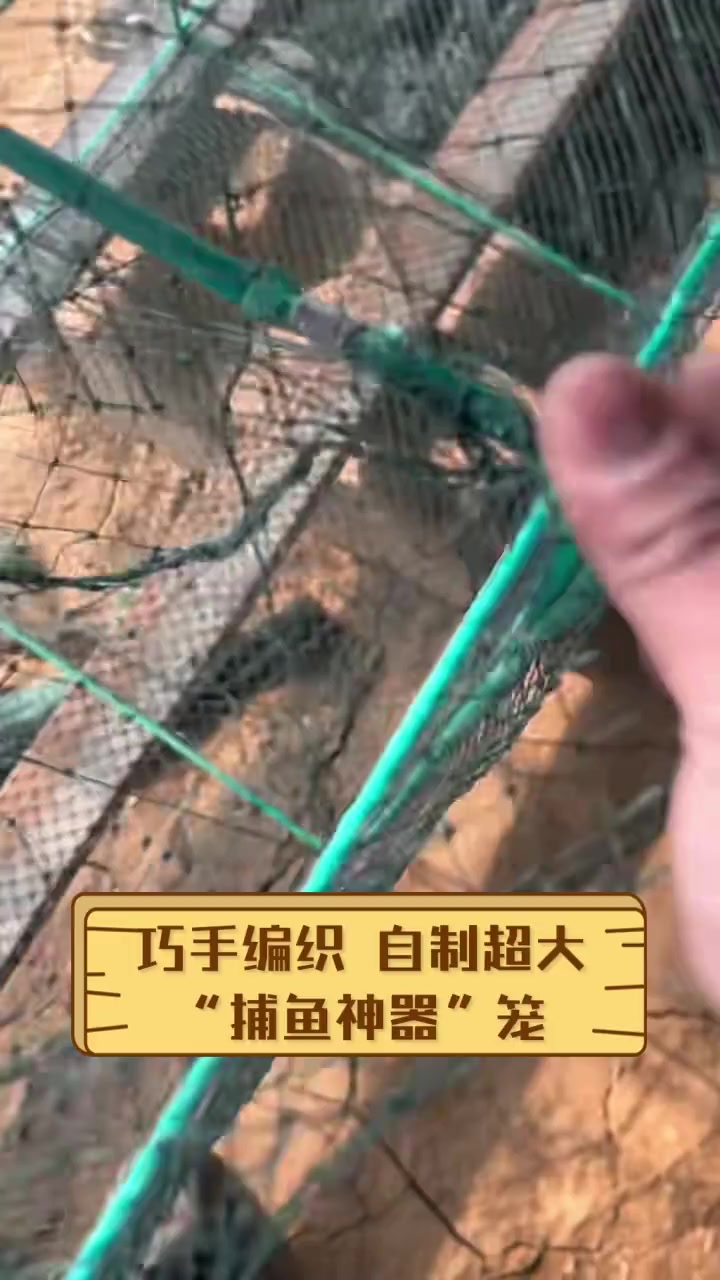 巧手编织,自制超大“捕鱼神器”笼