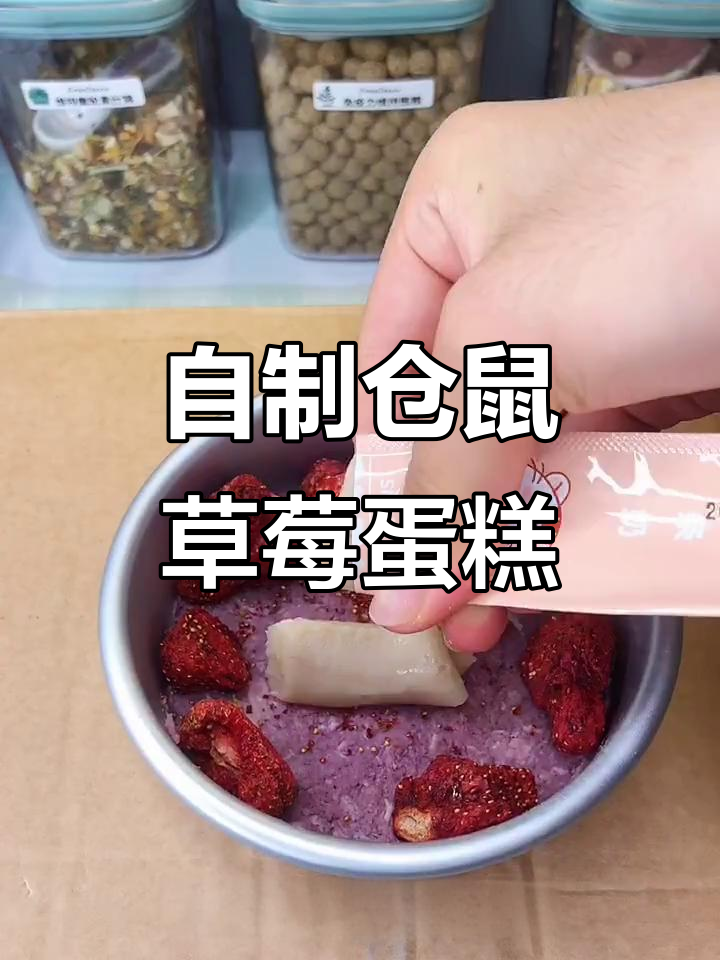 迷你草莓仓鼠蛋糕,超可爱宠物零食DIY